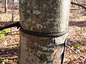 Soweit sollte man es erst gar nicht kommen lassen