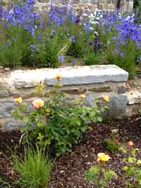 Die blau-weiß gehaltene Staudenpflanzung bildet einen ruhigen Hintergrund für die Rosen