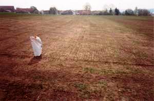 Sportplatz Freihausen - vorher