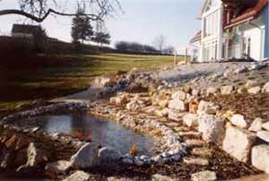 Teich - kurz nach Fertigstellung